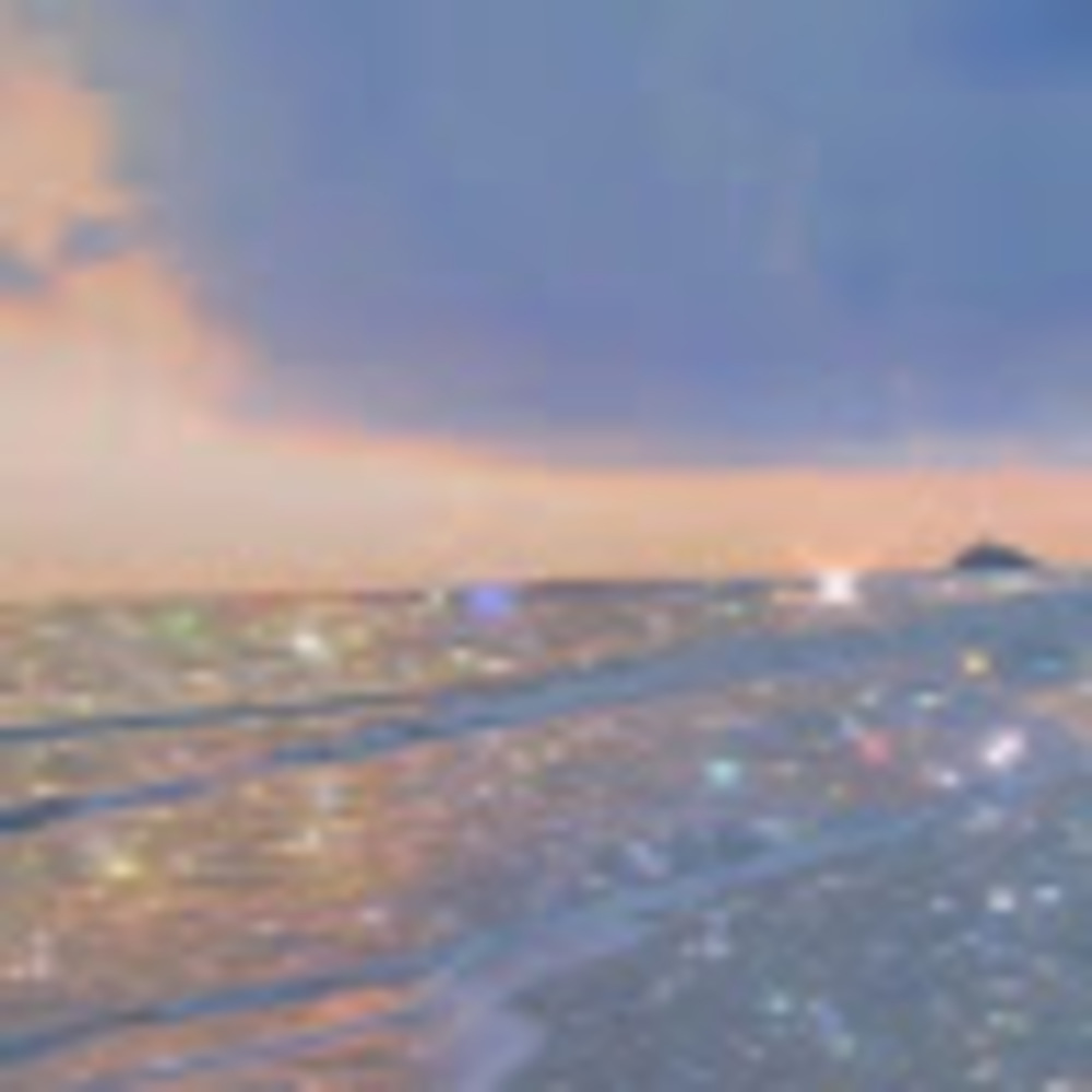 Meet your Posher, Tahel